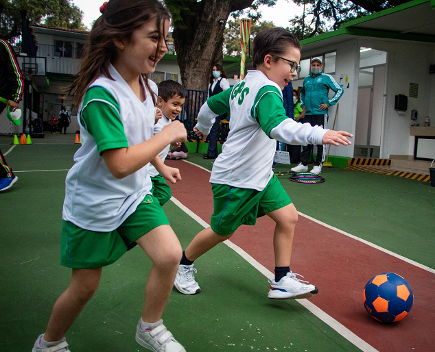 colegio-privado-greenland